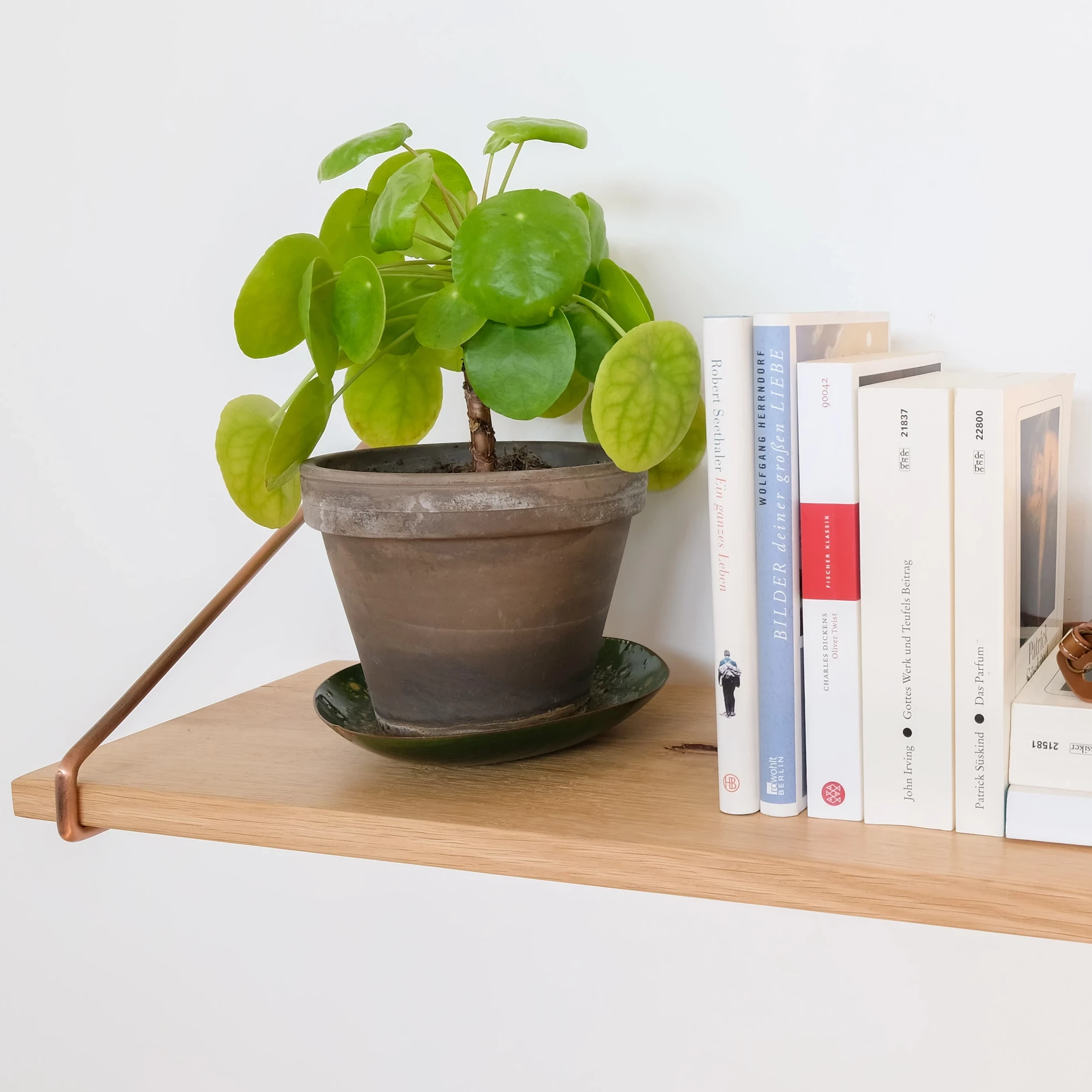 Lot de 2 supports d'étagères PRENZLBERG